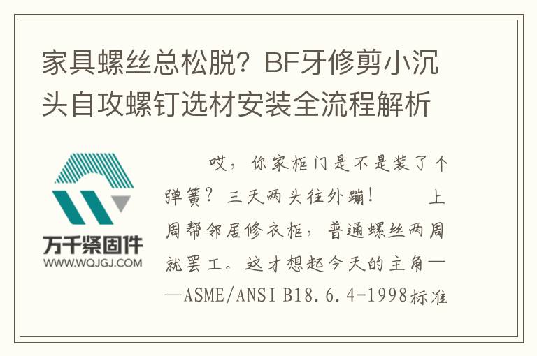 家具螺絲總松脫？BF牙修剪小沉頭自攻螺釘選材安裝全流程解析