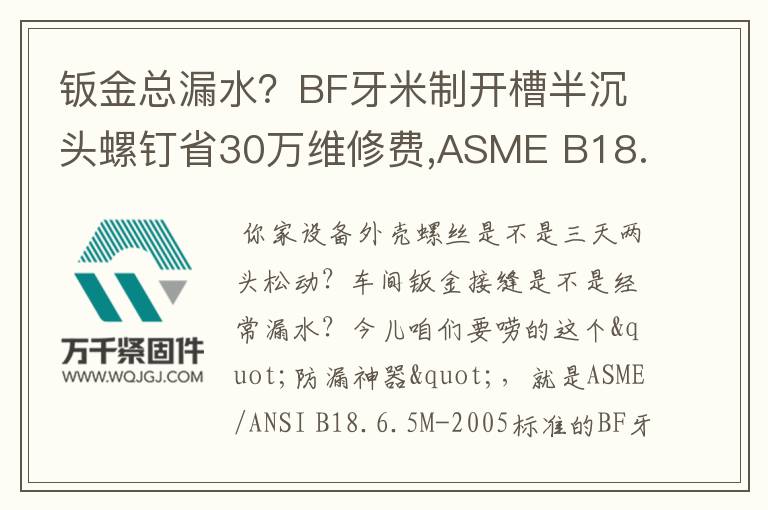 鈑金總漏水？BF牙米制開(kāi)槽半沉頭螺釘省30萬(wàn)維修費(fèi),ASME B18.6.5M-2005標(biāo)準(zhǔn)解析,自攻螺釘選購(gòu)指南